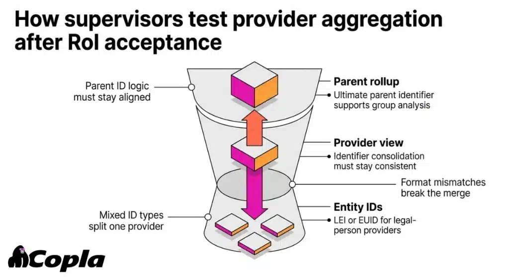 Infographic showing entity IDs being consolidated into a provider view and rolled up to a parent identifier.