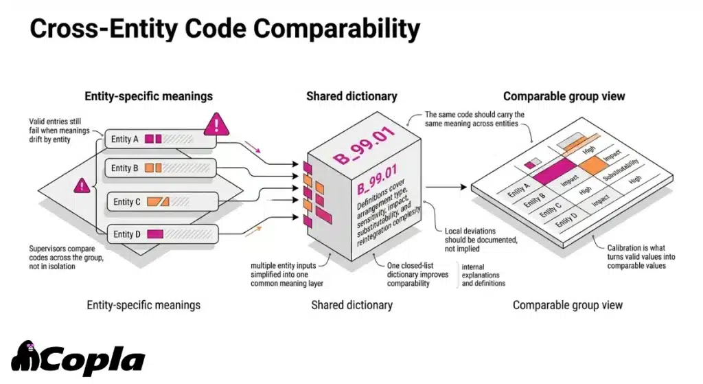 Infographic showing entity-specific codes from four entities being mapped into a shared dictionary and then compared in a group-level matrix.