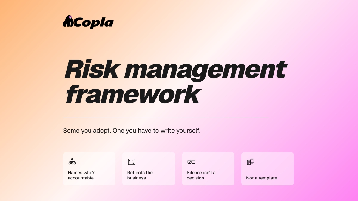 What is a risk management framework?